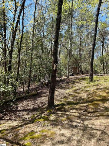 107 Brendart Hill Road, Sunset, SC 29685