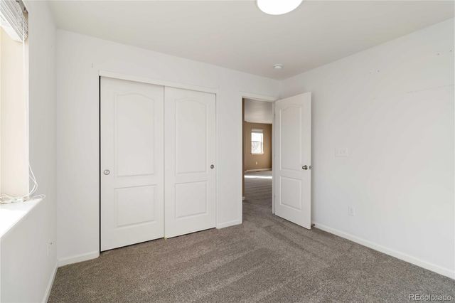 5402 Echo Hollow Street, Castle Rock, CO 80104