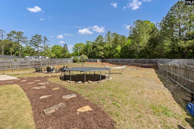 320 Eagle Pointe Drive, Chapin, SC 29036