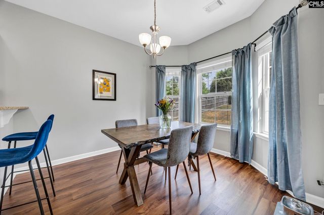 320 Eagle Pointe Drive, Chapin, SC 29036