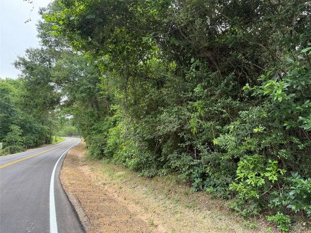 19280 Mount Pleasant Road, Montgomery, TX 77356