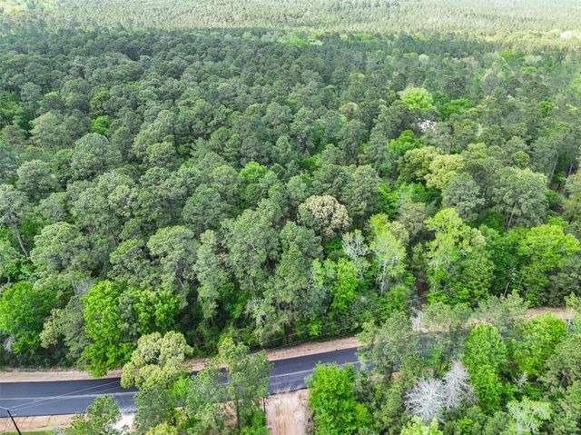 19280 Mount Pleasant Road, Montgomery, TX 77356