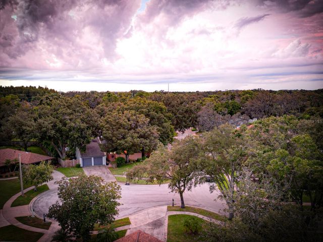 4438 SUMMER OAK DRIVE, Tampa, FL 33618