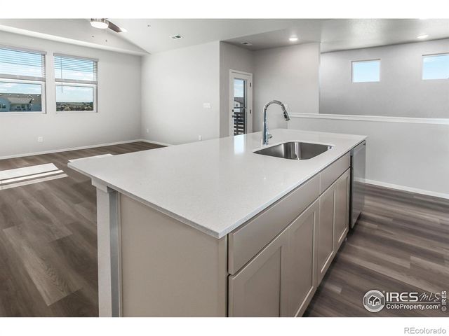 1825 Bounty Drive, Windsor, CO 80550