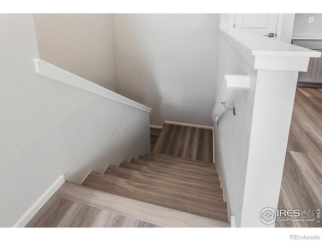 1825 Bounty Drive, Windsor, CO 80550