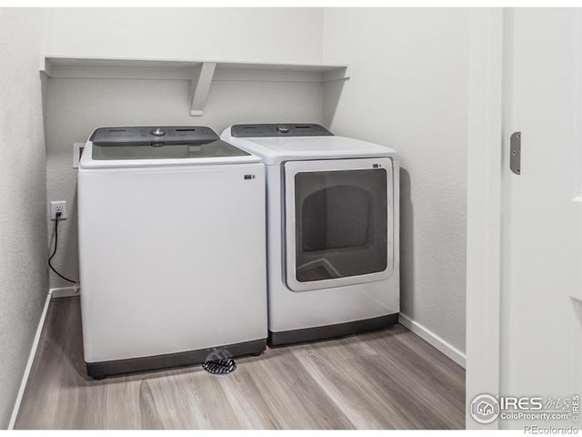 1825 Bounty Drive, Windsor, CO 80550