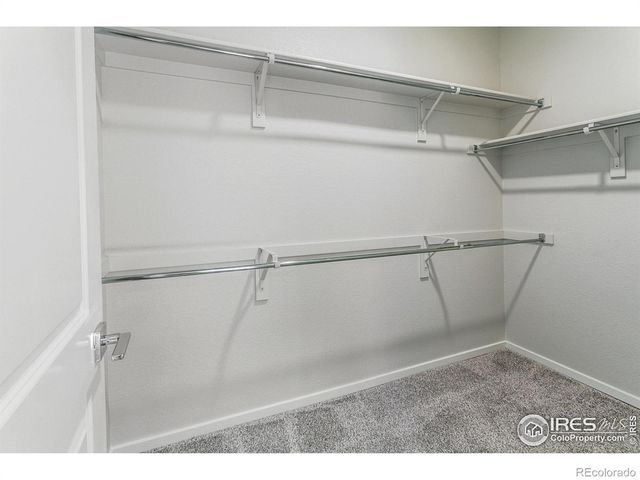 1825 Bounty Drive, Windsor, CO 80550