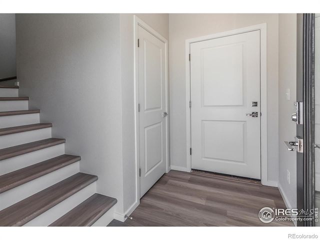 1825 Bounty Drive, Windsor, CO 80550