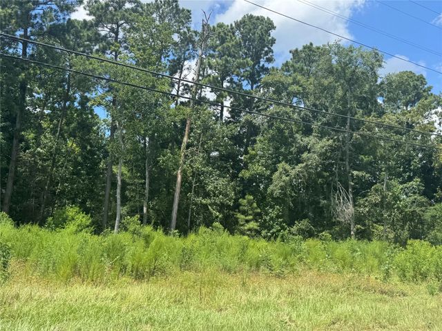 9180 Hickory Hills Drive, Montgomery, TX 77316