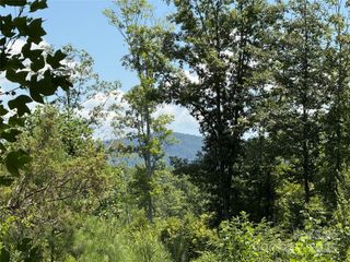 0 Collins Road 4, Bostic, NC 28018