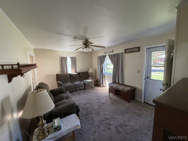659 70th Street, Niagara Falls, NY 14304
