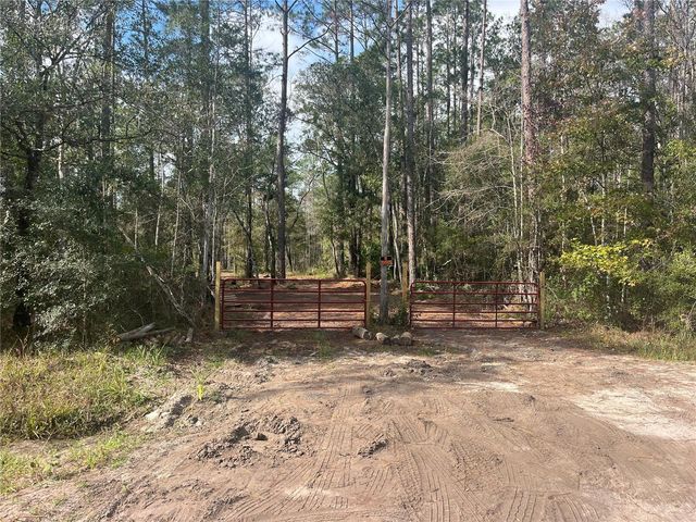 10535 FLIKKEMA AVE, Hastings, FL 32145