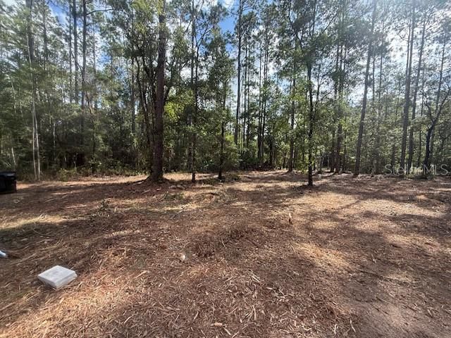 10535 FLIKKEMA AVE, Hastings, FL 32145