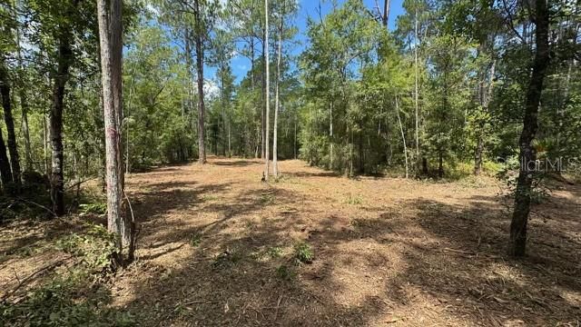 10535 FLIKKEMA AVE, Hastings, FL 32145