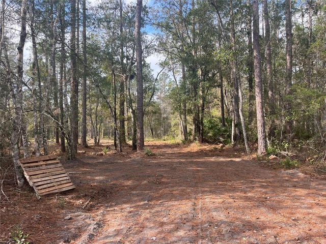 10535 FLIKKEMA AVE, Hastings, FL 32145