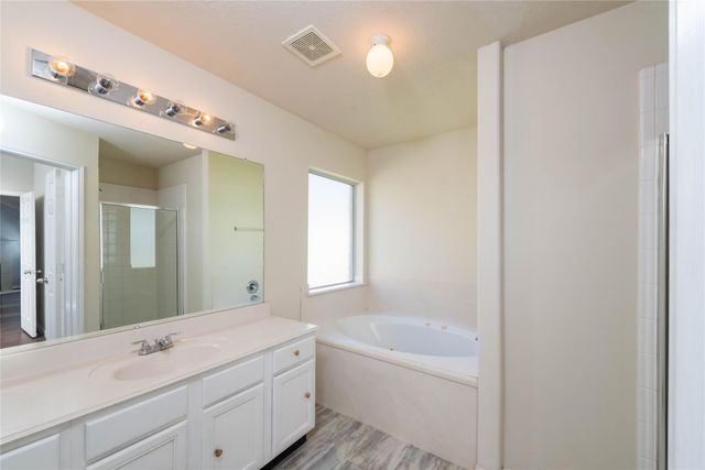 1915 Lingard Park Court, Houston, TX 77047