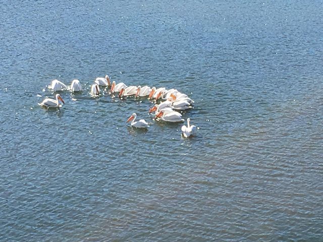 2529 State Highway 176 A9, Rockaway Beach, MO 65740