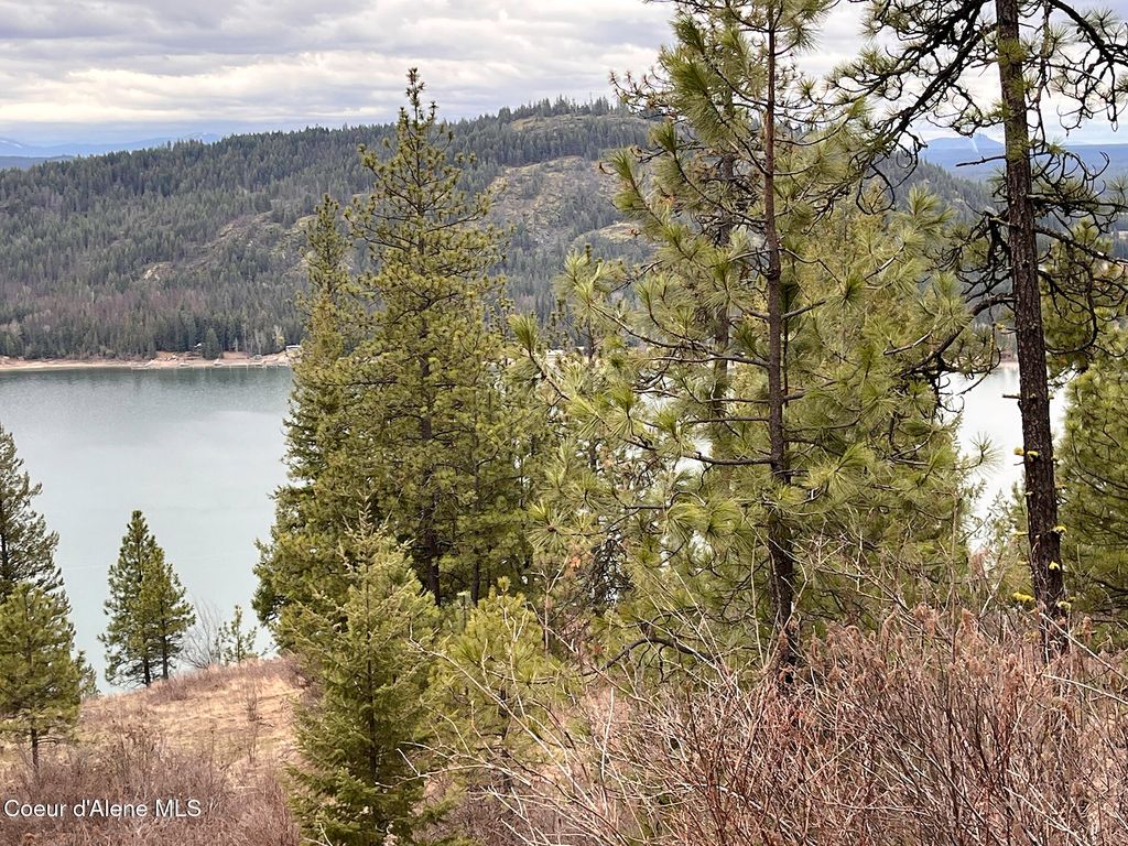 nka Cork, Priest River, ID 83856 photo 3