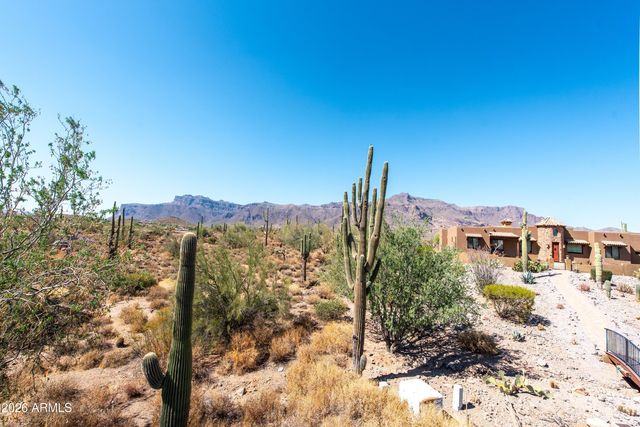 4782 S PURA VIDA Way 1, Gold Canyon, AZ 85118