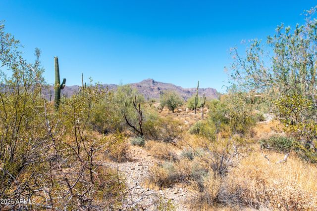 4782 S PURA VIDA Way 1, Gold Canyon, AZ 85118