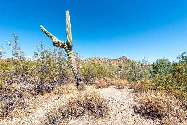 4782 S PURA VIDA Way 1, Gold Canyon, AZ 85118