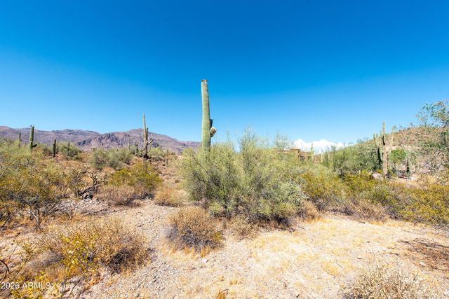 4782 S PURA VIDA Way 1, Gold Canyon, AZ 85118