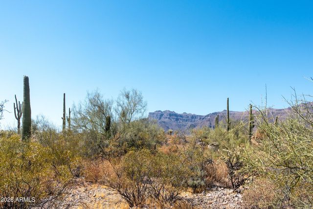 4782 S PURA VIDA Way 1, Gold Canyon, AZ 85118