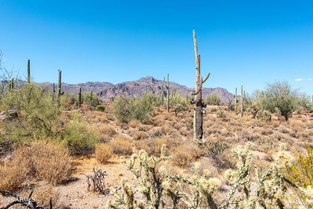 4782 S PURA VIDA Way 1, Gold Canyon, AZ 85118