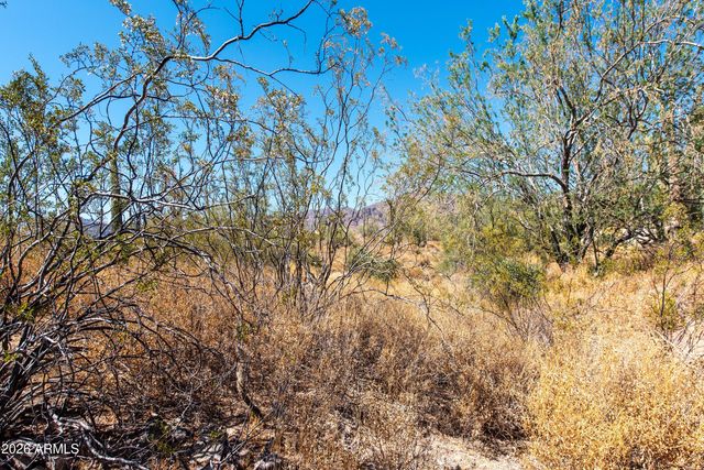 4782 S PURA VIDA Way 1, Gold Canyon, AZ 85118