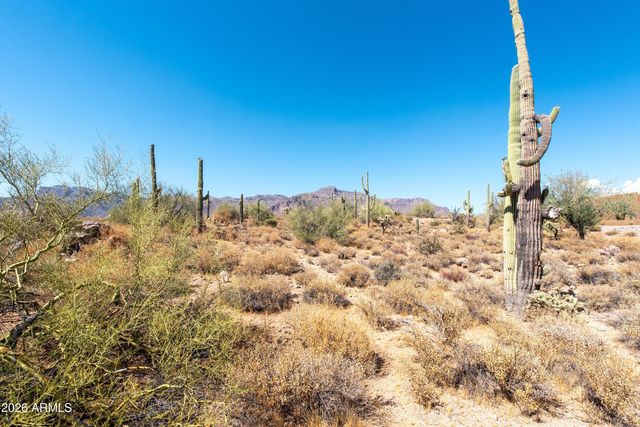 4782 S PURA VIDA Way 1, Gold Canyon, AZ 85118