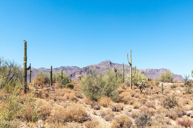 4782 S PURA VIDA Way 1, Gold Canyon, AZ 85118