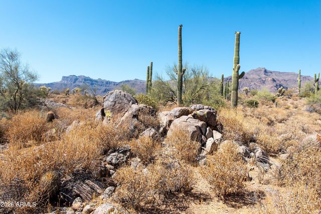 4782 S PURA VIDA Way 1, Gold Canyon, AZ 85118