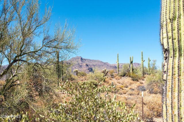 4782 S PURA VIDA Way 1, Gold Canyon, AZ 85118