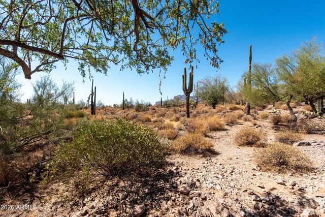 4782 S PURA VIDA Way 1, Gold Canyon, AZ 85118