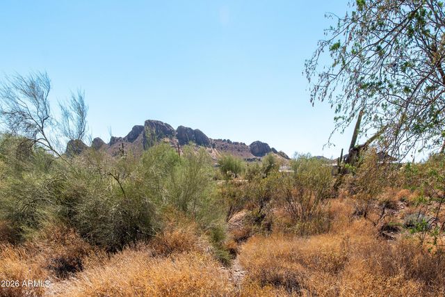 4782 S PURA VIDA Way 1, Gold Canyon, AZ 85118