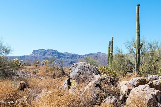 4782 S PURA VIDA Way 1, Gold Canyon, AZ 85118