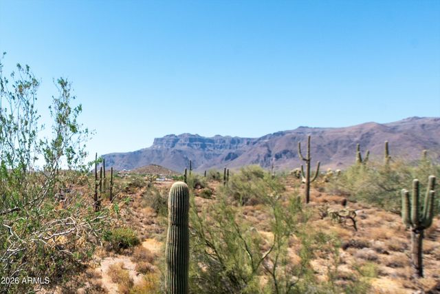 4782 S PURA VIDA Way 1, Gold Canyon, AZ 85118