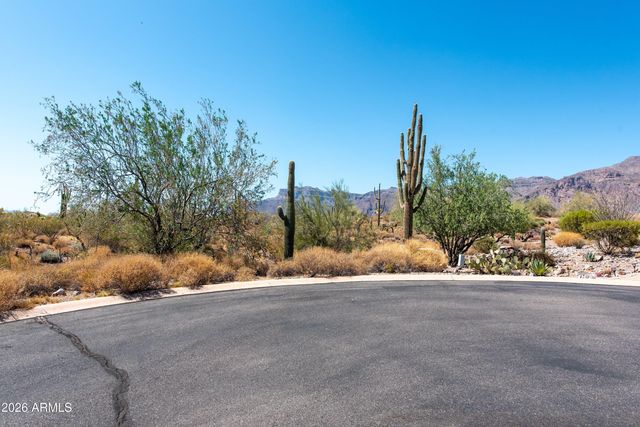 4782 S PURA VIDA Way 1, Gold Canyon, AZ 85118