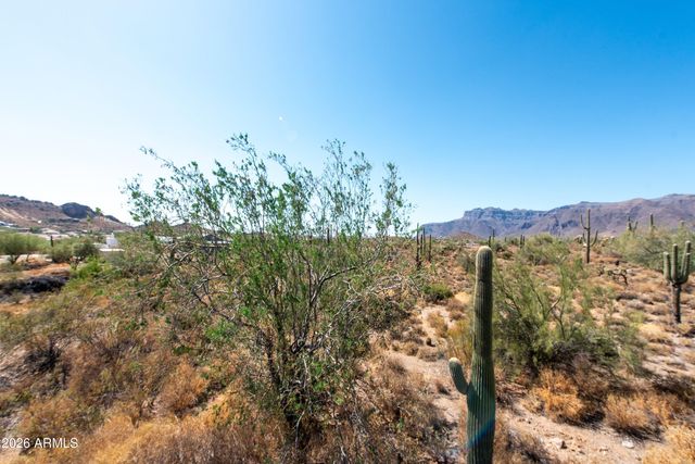 4782 S PURA VIDA Way 1, Gold Canyon, AZ 85118