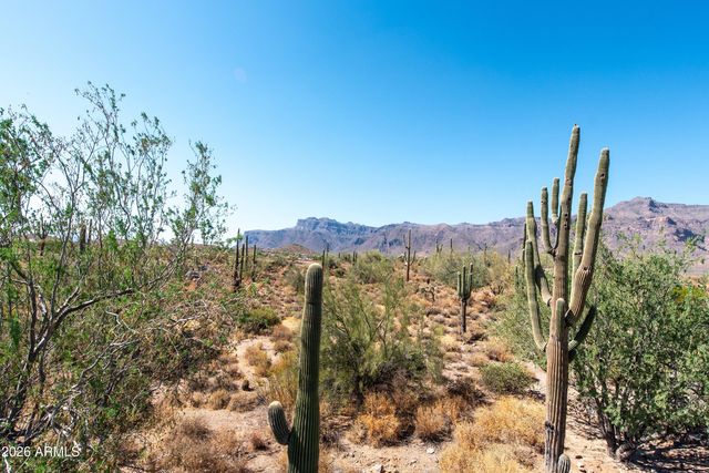 4782 S PURA VIDA Way 1, Gold Canyon, AZ 85118