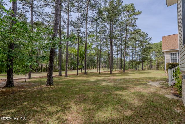15940 Lovegrass Lane, Wagram, NC 28396