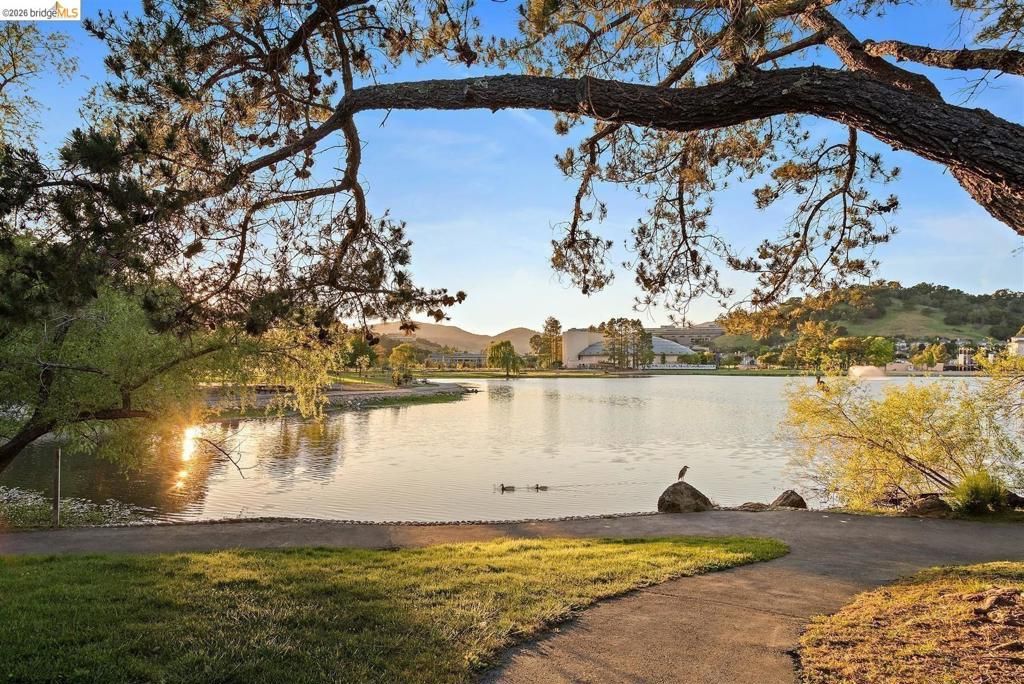 Image 52 of property listing at 319 N San Pedro RD, San Rafael, CA 94903