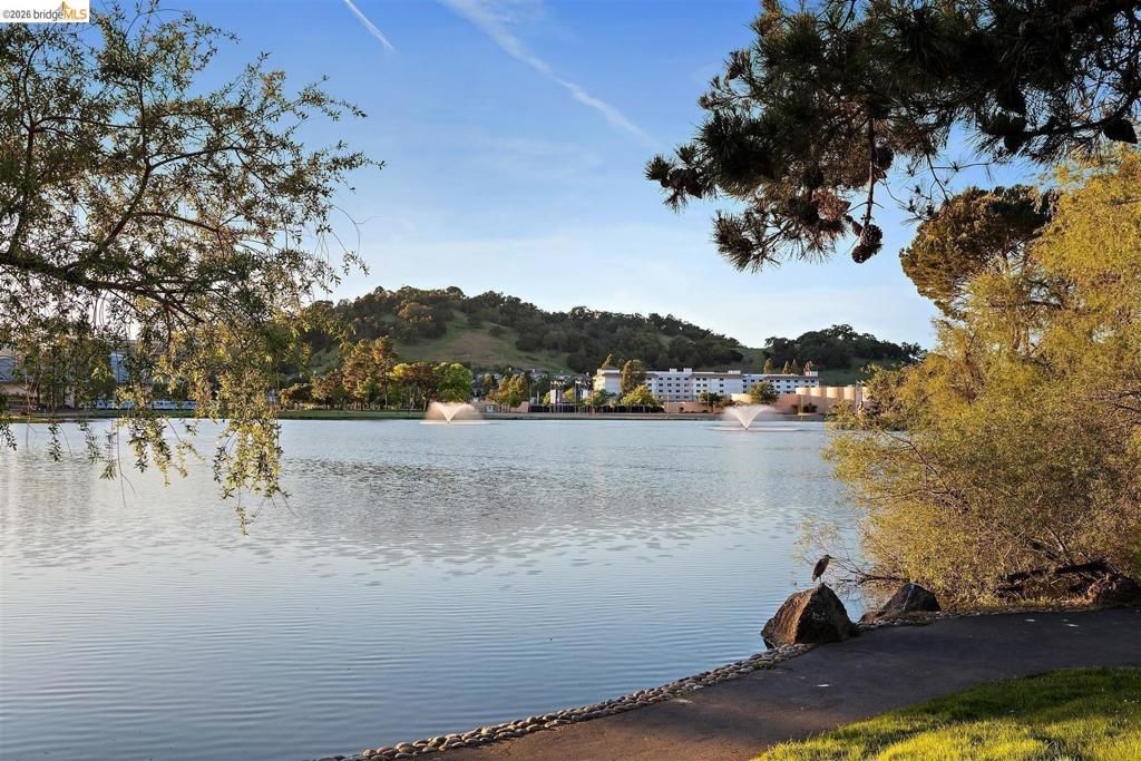 Image 54 of property listing at 319 N San Pedro RD, San Rafael, CA 94903