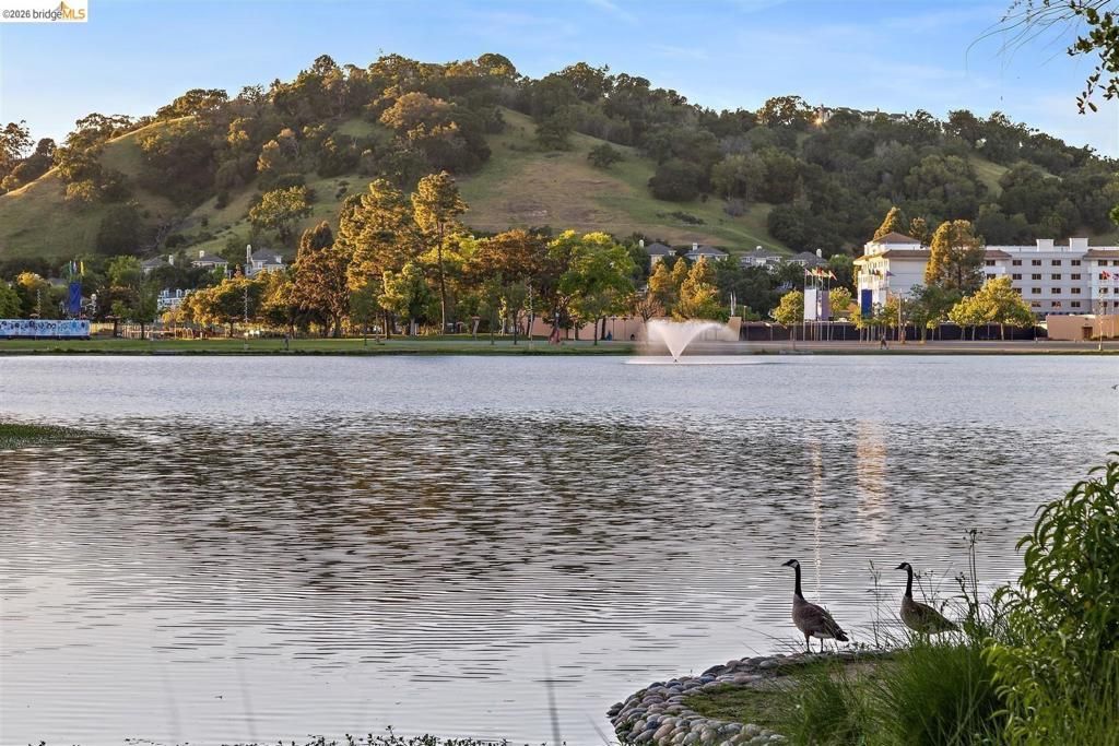 Image 55 of property listing at 319 N San Pedro RD, San Rafael, CA 94903