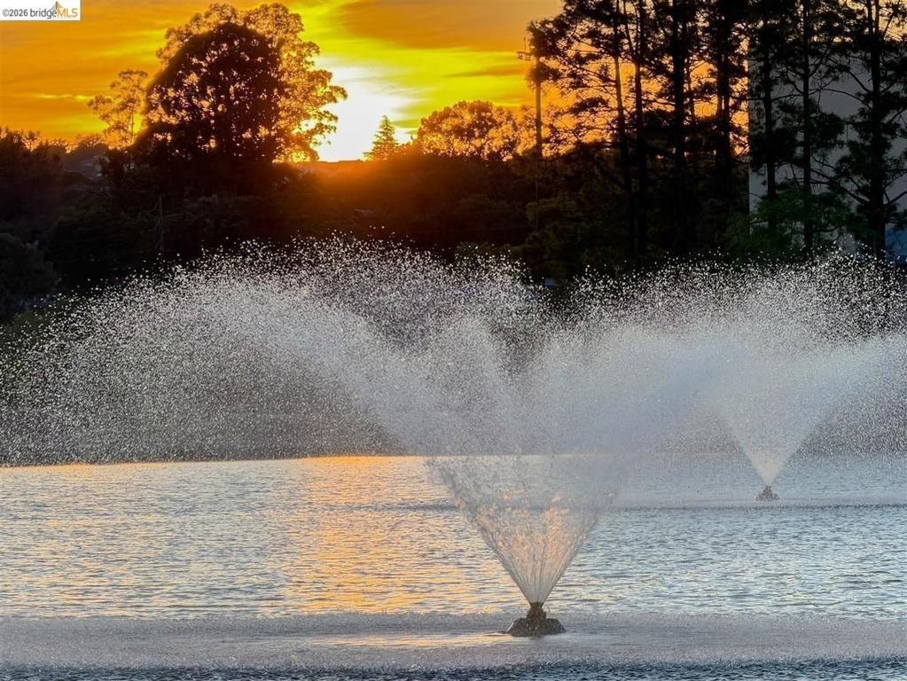 Image 57 of property listing at 319 N San Pedro RD, San Rafael, CA 94903