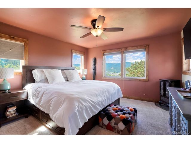 45 Alpine Dr, Nederland, CO 80466