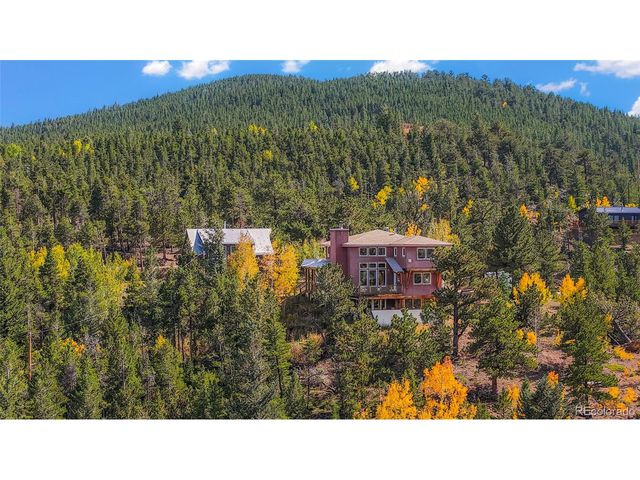 45 Alpine Dr, Nederland, CO 80466