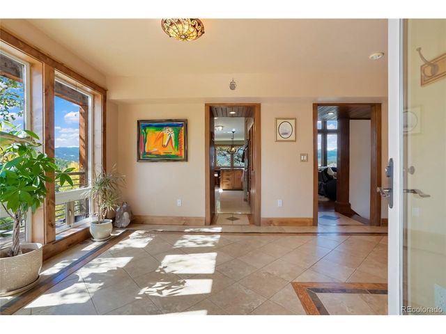 45 Alpine Dr, Nederland, CO 80466