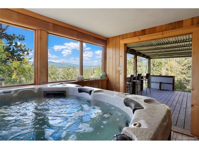45 Alpine Dr, Nederland, CO 80466