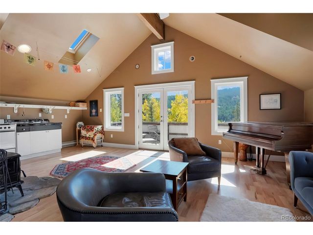 45 Alpine Dr, Nederland, CO 80466